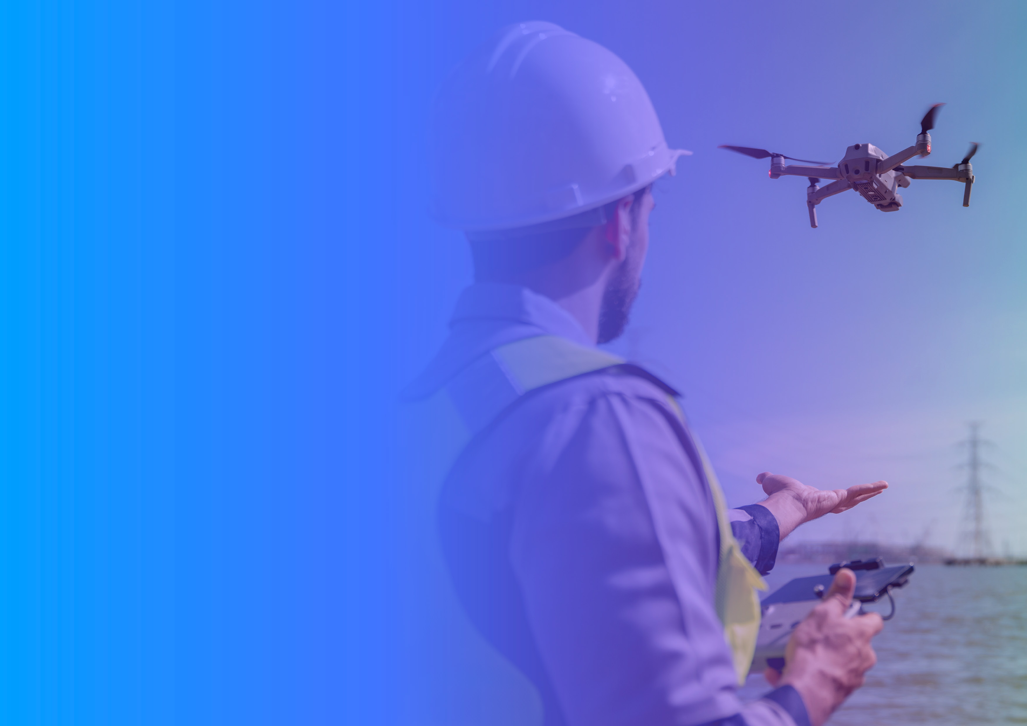 Drone Surveys